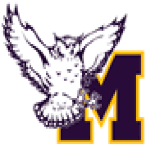 Monticello High School logo